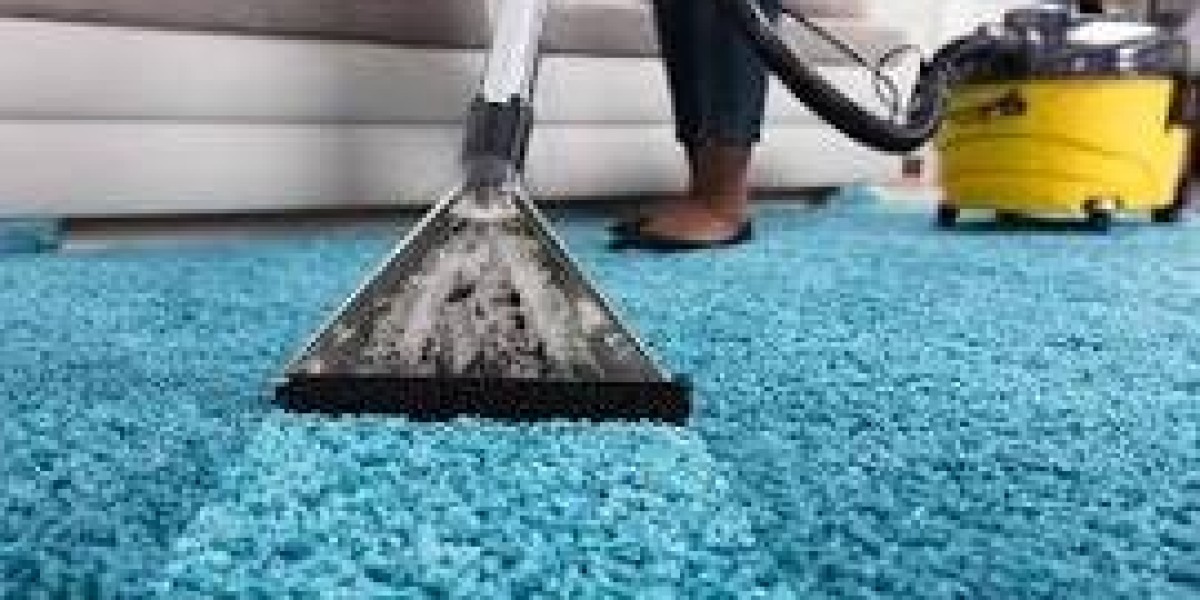 Why Carpet Cleaning Is Crucial for Maintaining Home Wellness