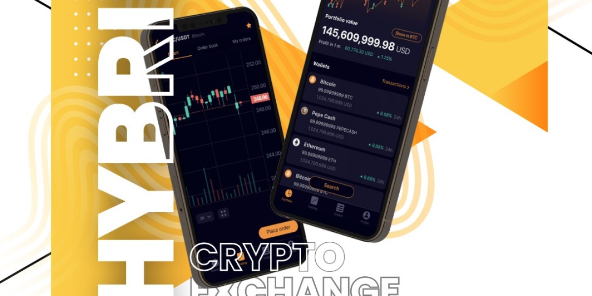 Building a Hybrid Crypto Exchange: A Game Changer for Users and Owners