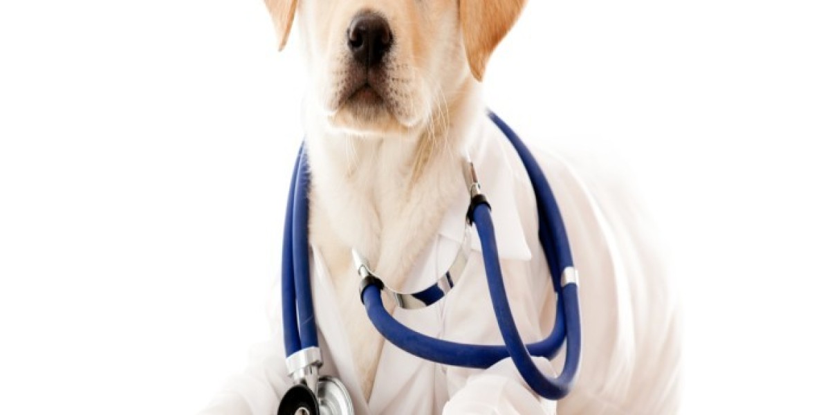 The Europe Animal Healthcare Market is in trends by increasing pet adoption amid the COVID-19 pandemic