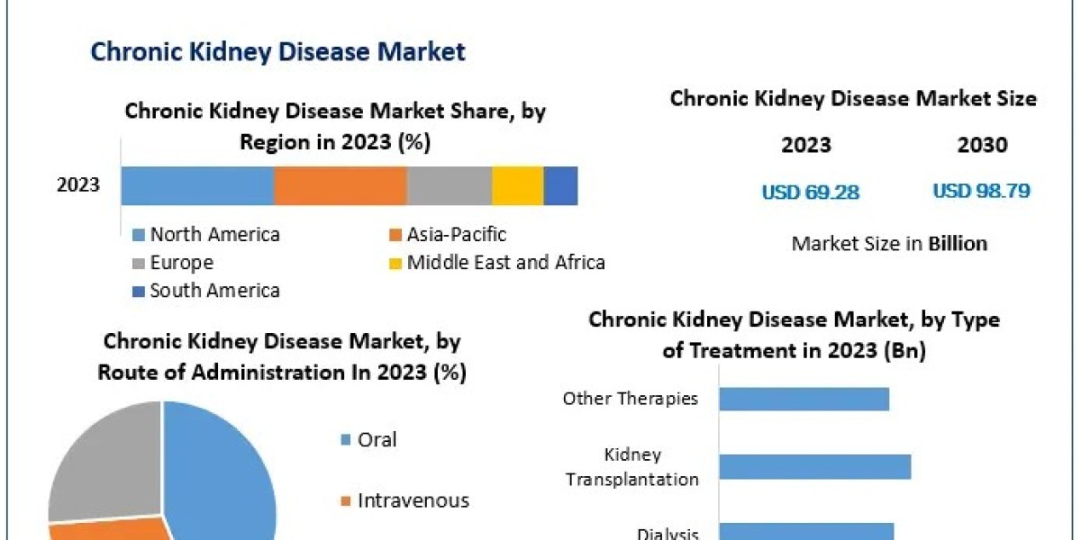 Chronic Kidney Disease Market Economic Forecasts: Industry Outlook, Size, and Growth Forecast 2030