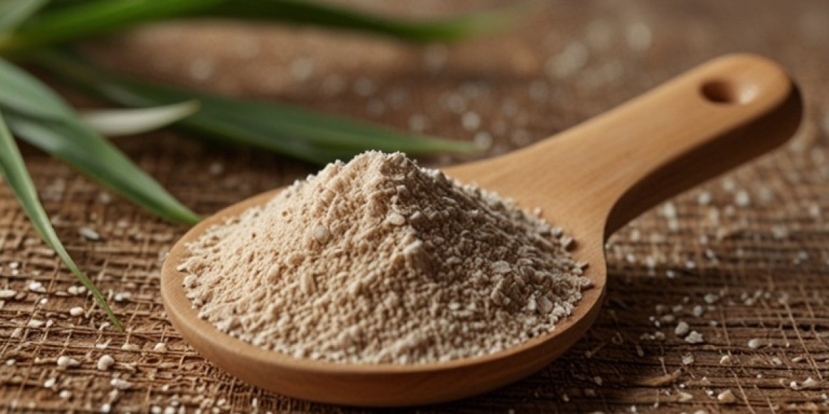 Psyllium Husk Powder Manufacturing Plant Project Report 2024 Edition, Cost and Raw Material Requirements