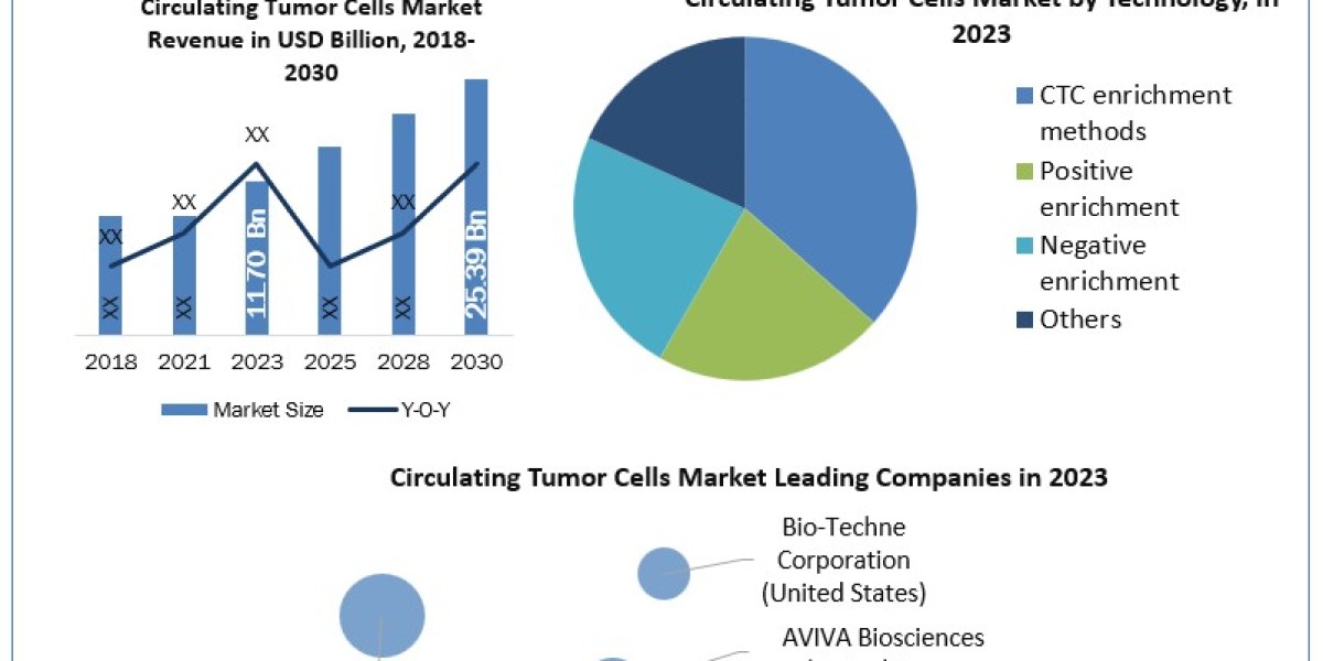 Global Circulating Tumor Cells Market Forecast (2024-2030): Insights and Industry Outlook