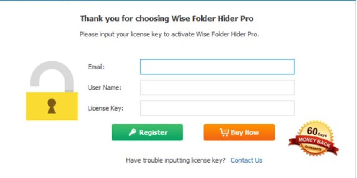 Wise Folder Hider Pro 5.0.2.232 Crack + License Key [Latest]