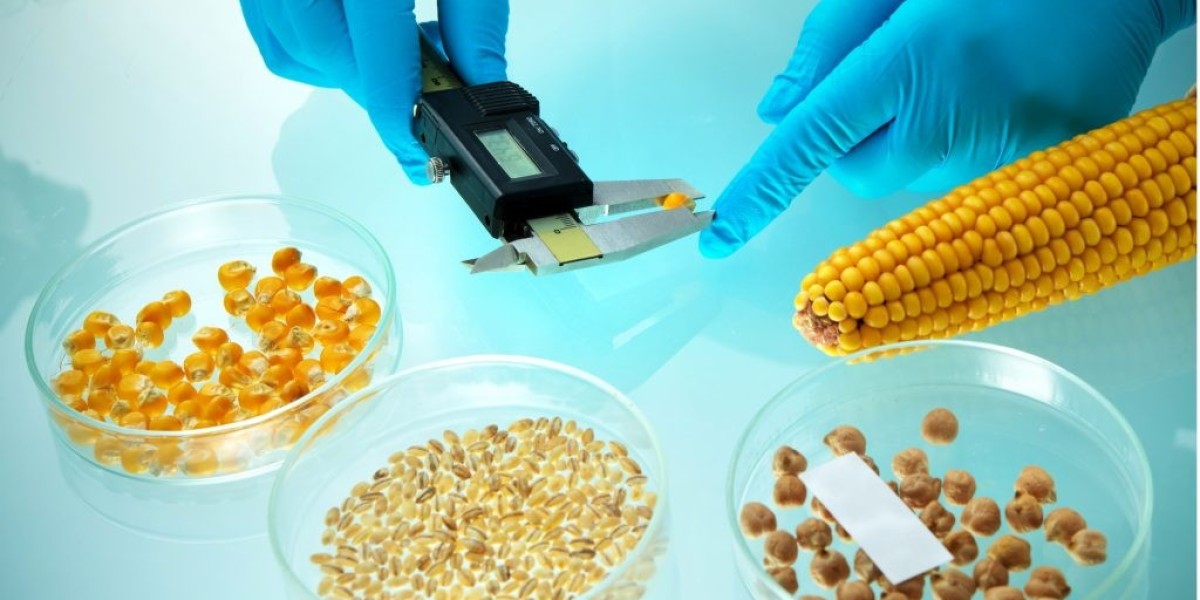 Genetically Modified Seeds: The Controversial Agricultural Revolution