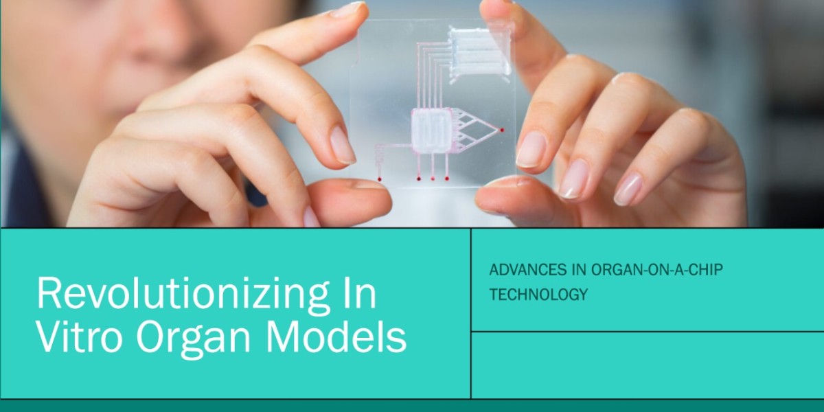 The Rise of Organ-On-a-Chip: Key Market Trends and Technological Developments for 2024