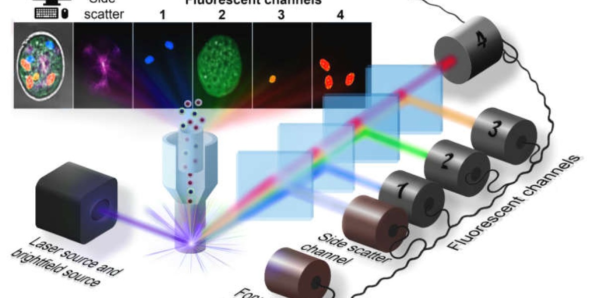 Flow Cytometry is poised to grow from USD 4.25 Billion in 2023 to USD 6.99 Billion by 2031