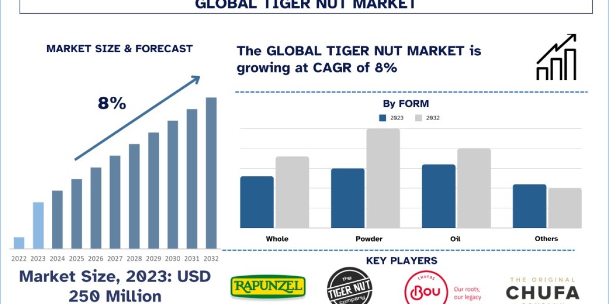 Tiger Nut Market: Progressive Escalation in North America