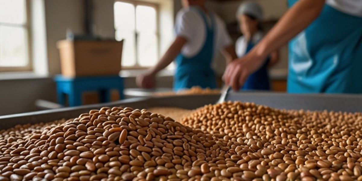 Farro Processing Plant Cost | Project Report 2024, Machinery and Raw Material Requirements