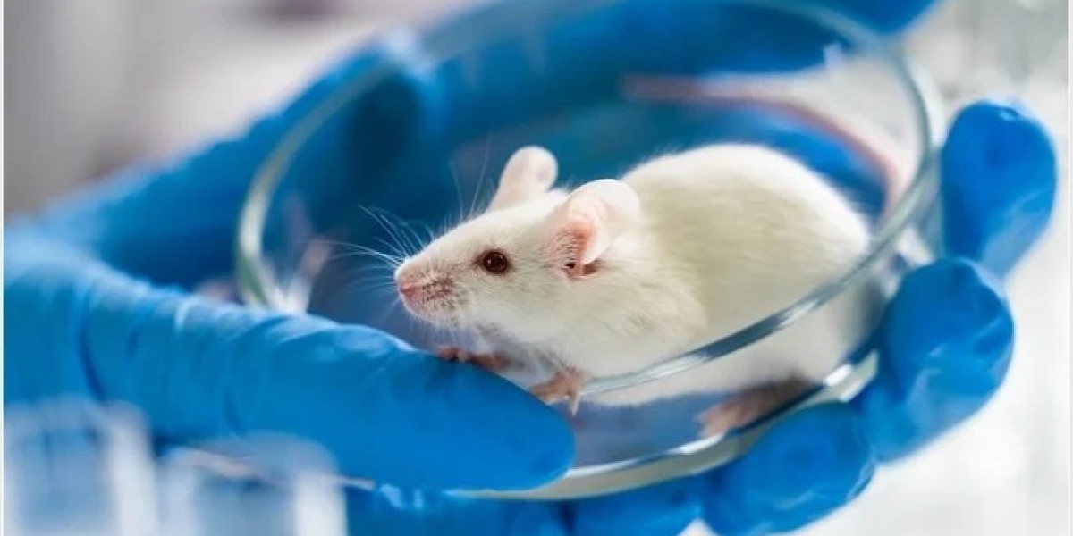 Animal Model Market 2023 Size, Dynamics & Forecast Report to 2032