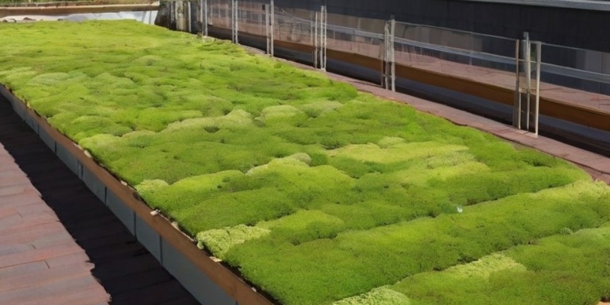 Green (Living) Roof Manufacturing Plant Project Report 2024: Comprehensive Business Plan, Raw Materials and Cost Involve