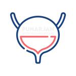 Bladder Cancer Treatment Hyderabad Profile Picture