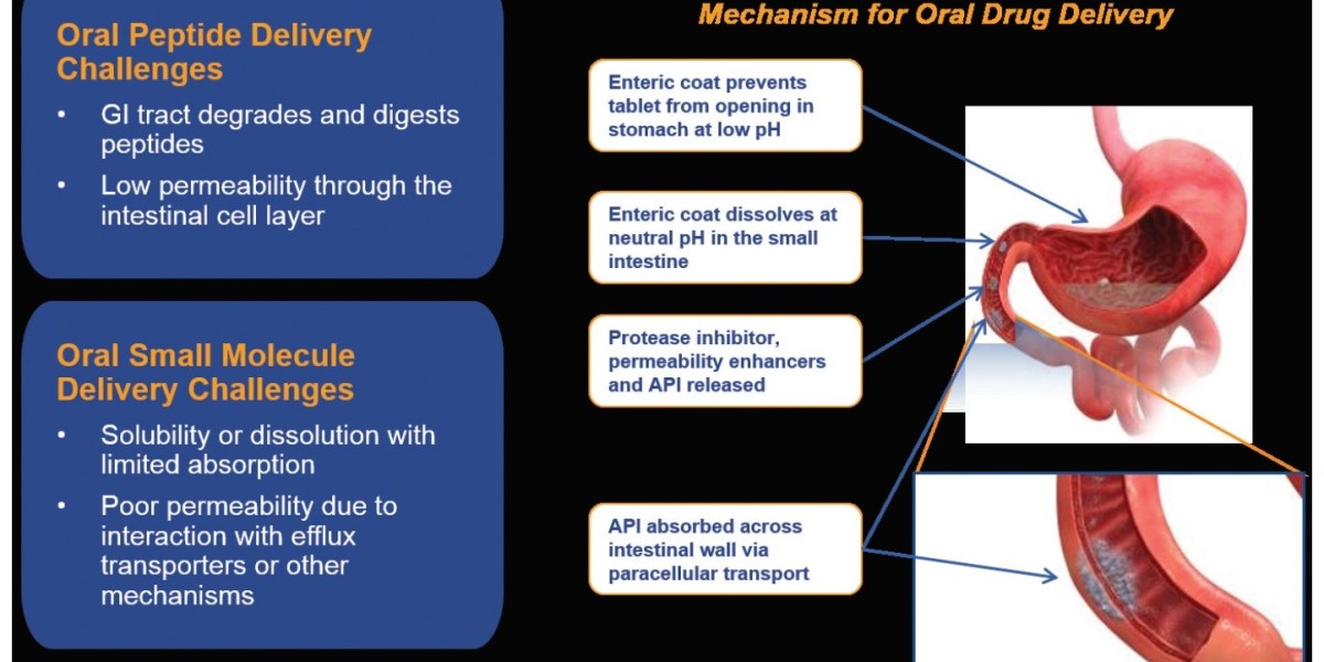 AstraZeneca’s Innovations in Calcitonin Oral Peptides for Bone Disease Treatment