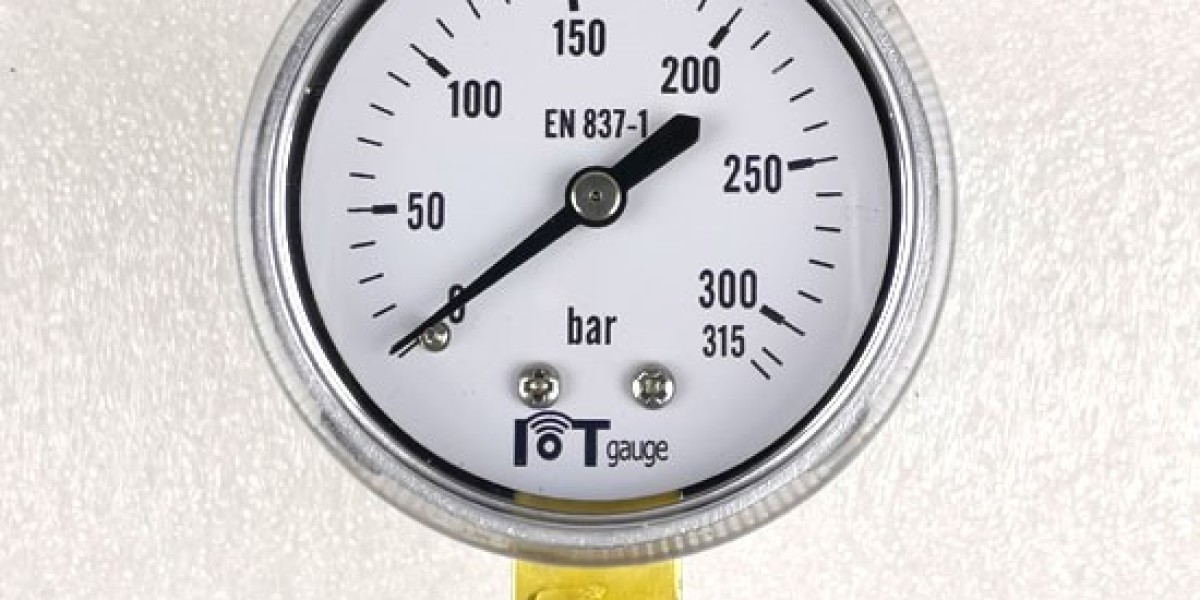 Gas Pressure Gauges Market Size & Growth to 2032 | By Dataintelo