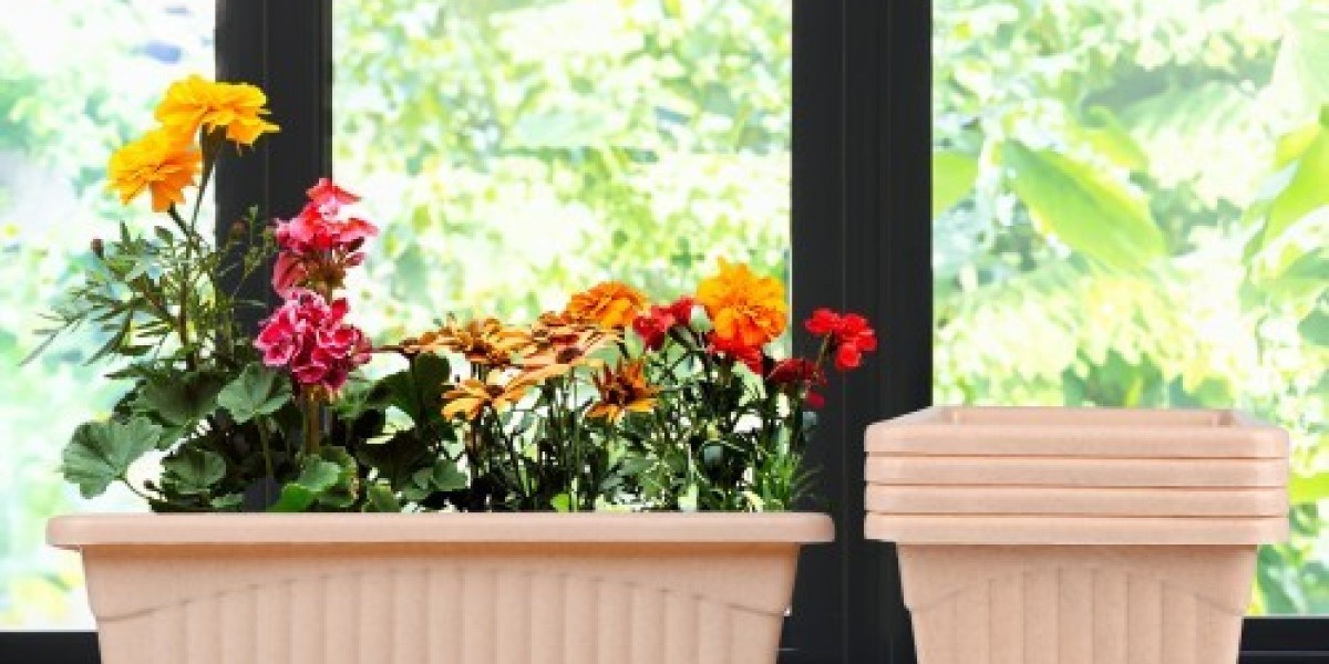 Flower Pots: Types, Materials and Ideas to Spice Up Your Home