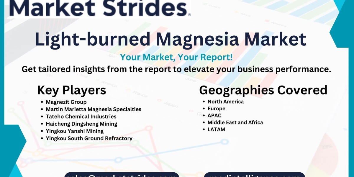 Light-burned Magnesia Market: Global Industry Analysis and Forecast 2031 | Market Strides