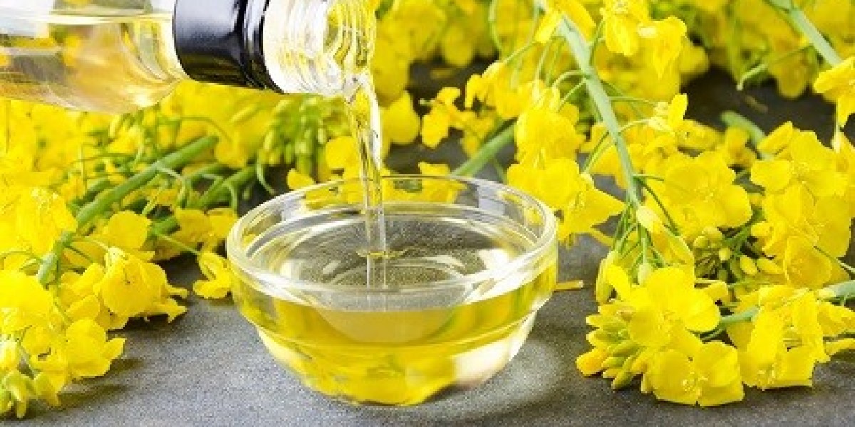 Canola Oil Manufacturing Plant 2024: Project Report, Raw Materials, Investment Opportunities, Cost and Revenue