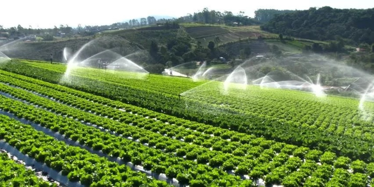 Micro-Irrigation Market Insights by Crop, Region & End User