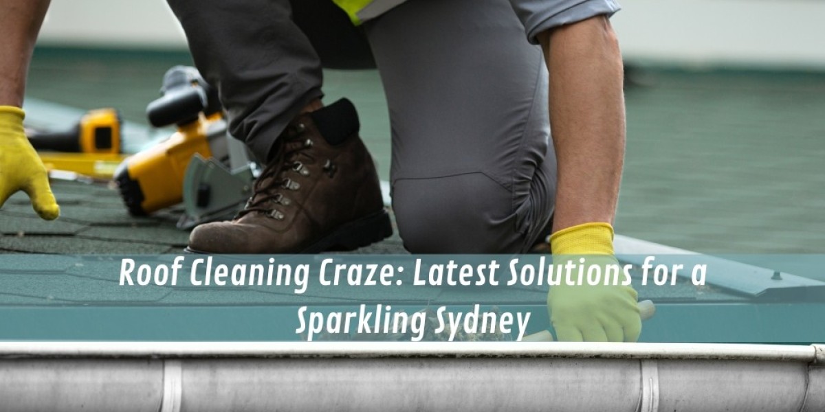 Roof Cleaning Craze: Latest Solutions for a Sparkling Sydney