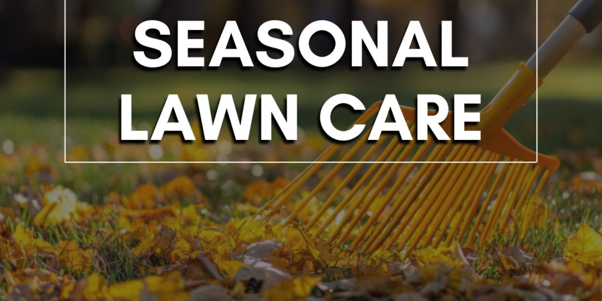 What is seasonal lawn care, and why is it important?