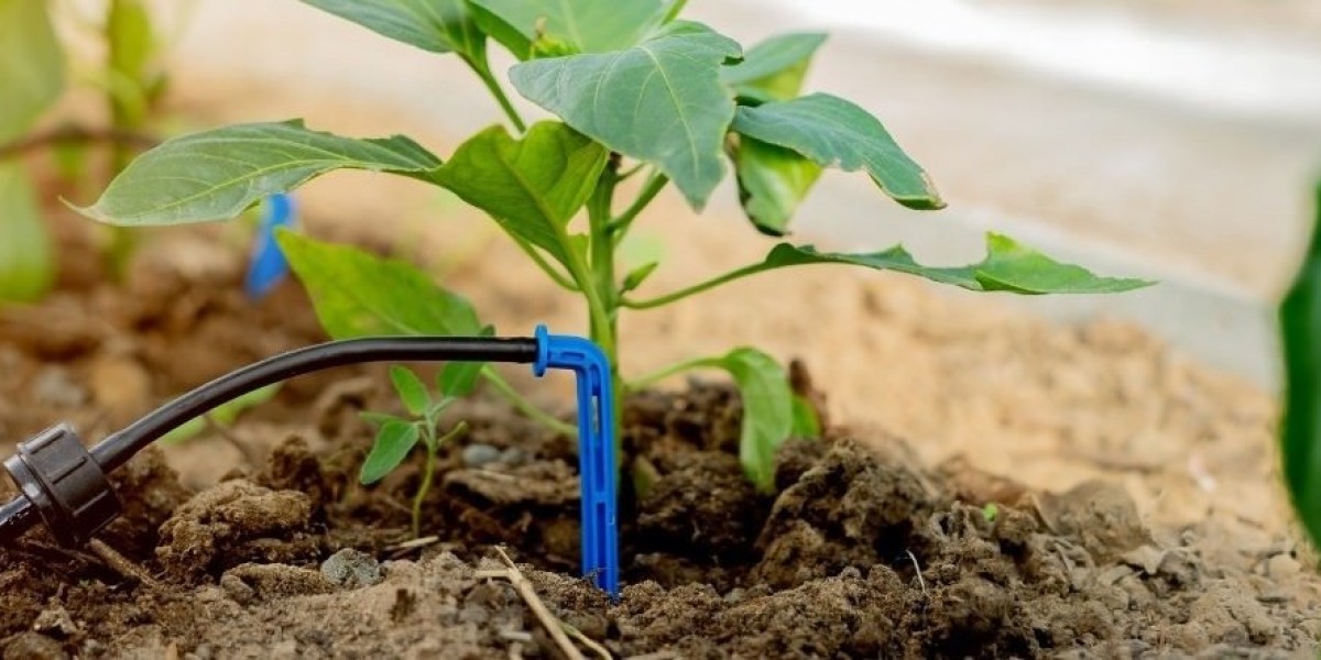 Micro Irrigation Systems Market Report, Latest Trends, Industry Opportunity & Forecast