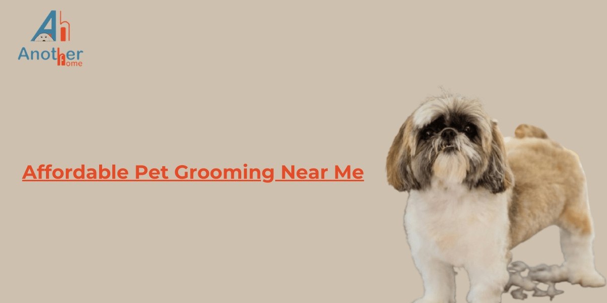 Affordable Pet Grooming Near Me