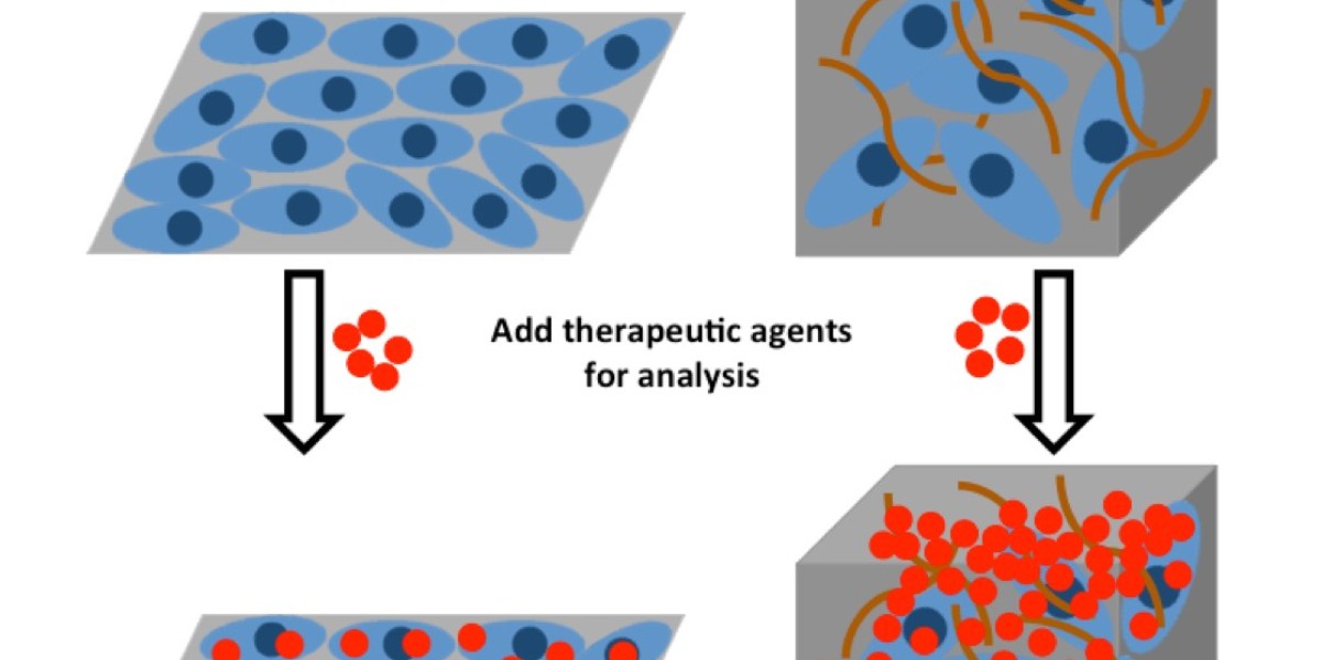 3D Cell Culture Market Outbreak : Key Trends, Growth, Insights and Forecast to 2032