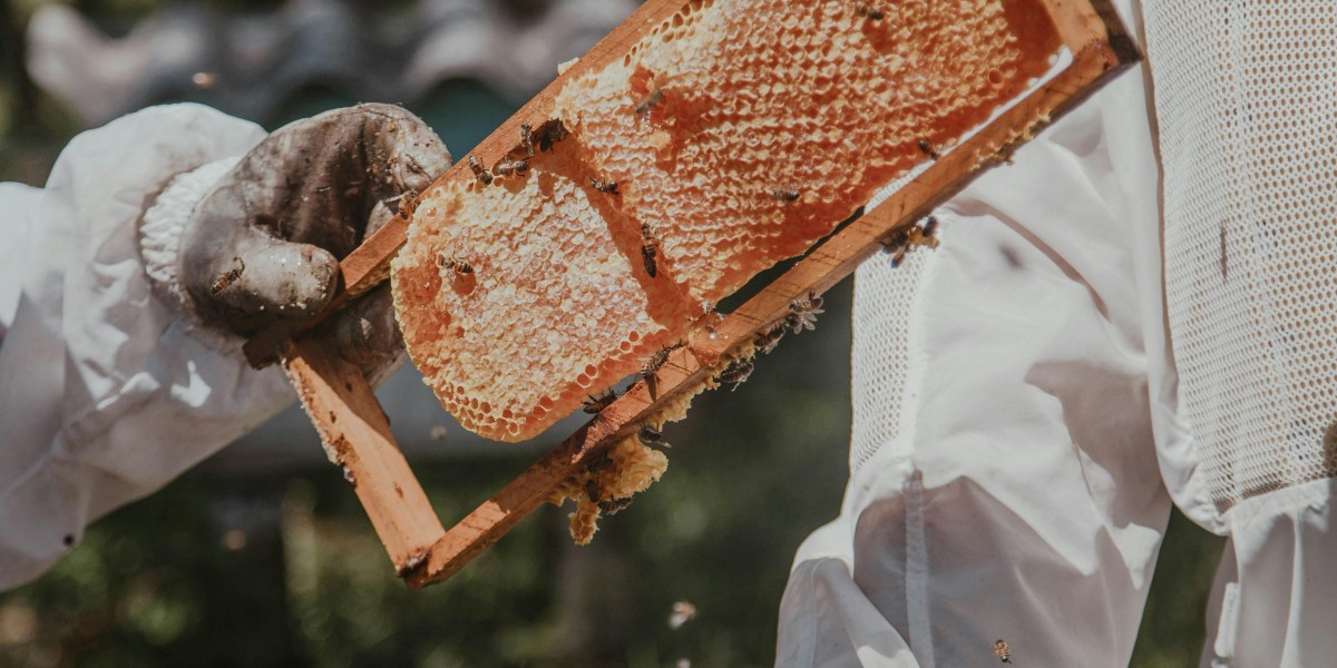 The Importance of Professional Bee Rescue Services: Saving Bees, Protecting Ecosystems