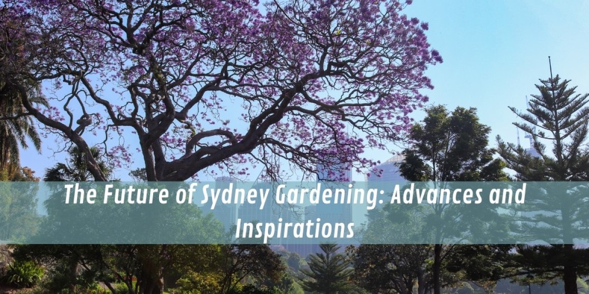 The Future of Sydney Gardening: Advances and Inspirations