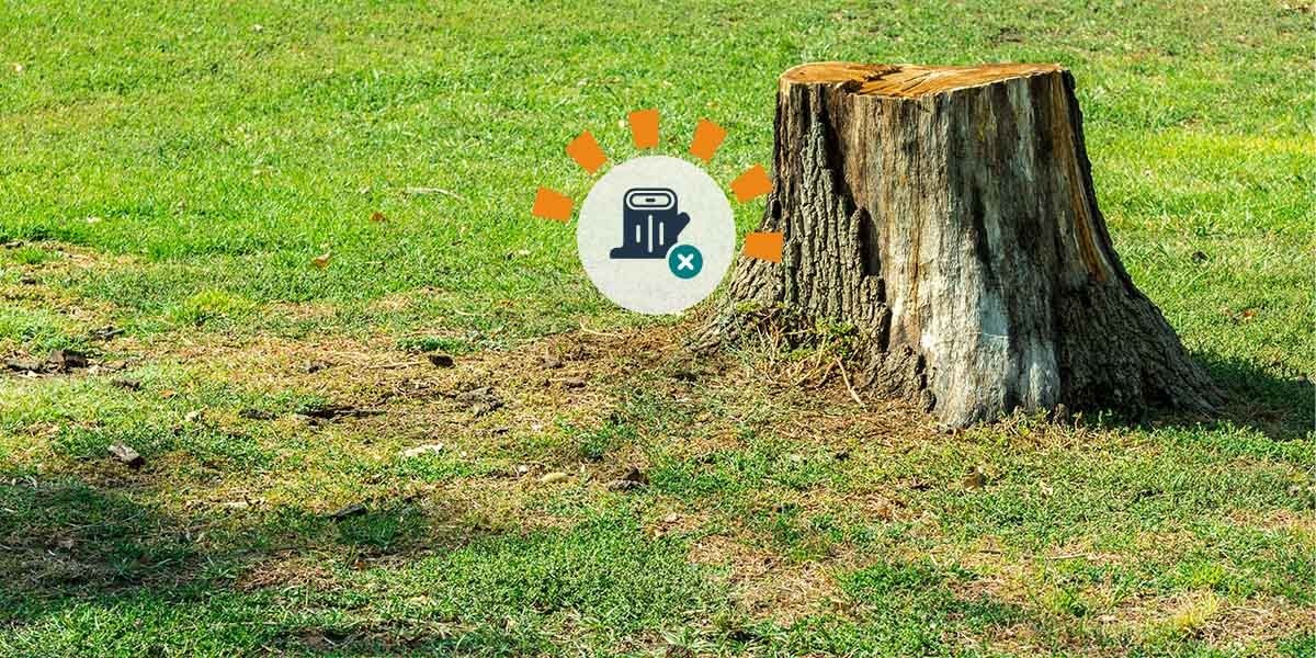 What Are Alternatives to Garden Stump Removal? | North County Tree, California