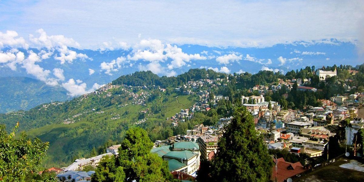 Whispers of the Himalayas: Darjeeling Unplugged