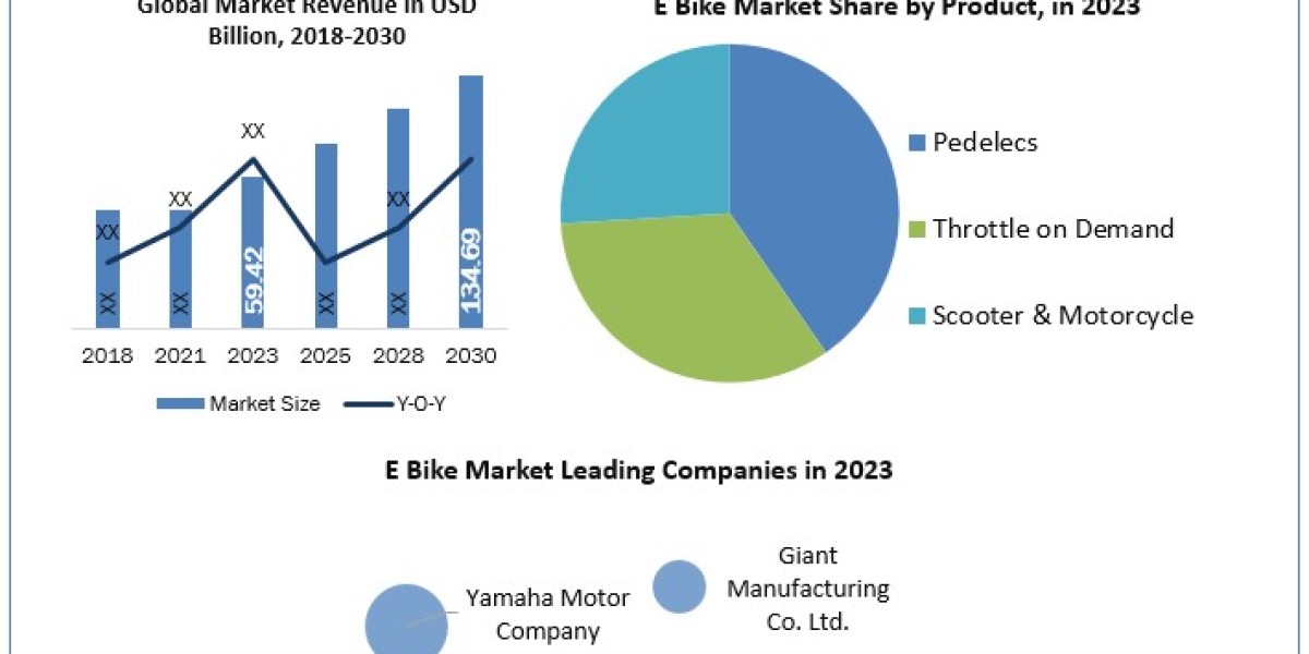 E-Bike Market Trends and Forecast (2024-2030): Global Overview by Hardware, Communication Type, and Region