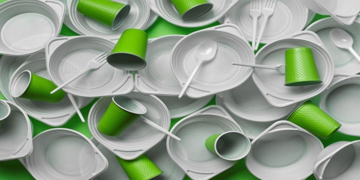 Why We Chose Bagasse Tableware for Our Eco-Friendly Restaurant