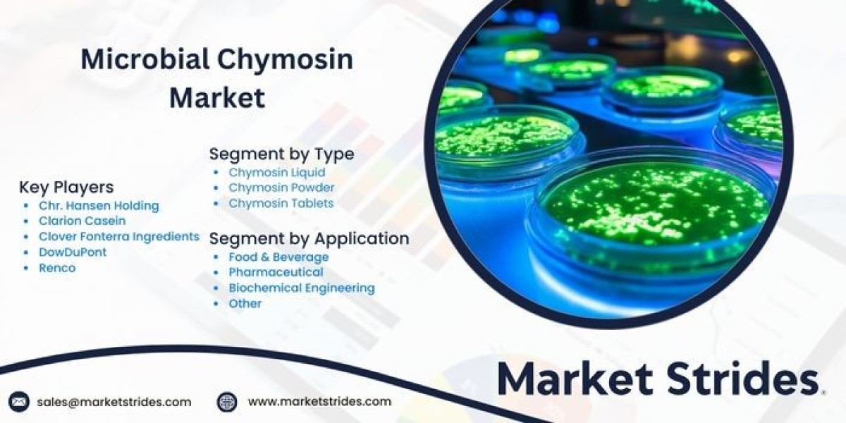 Microbial Chymosin Market: Insights and Forecast to 2031 | Market Strides