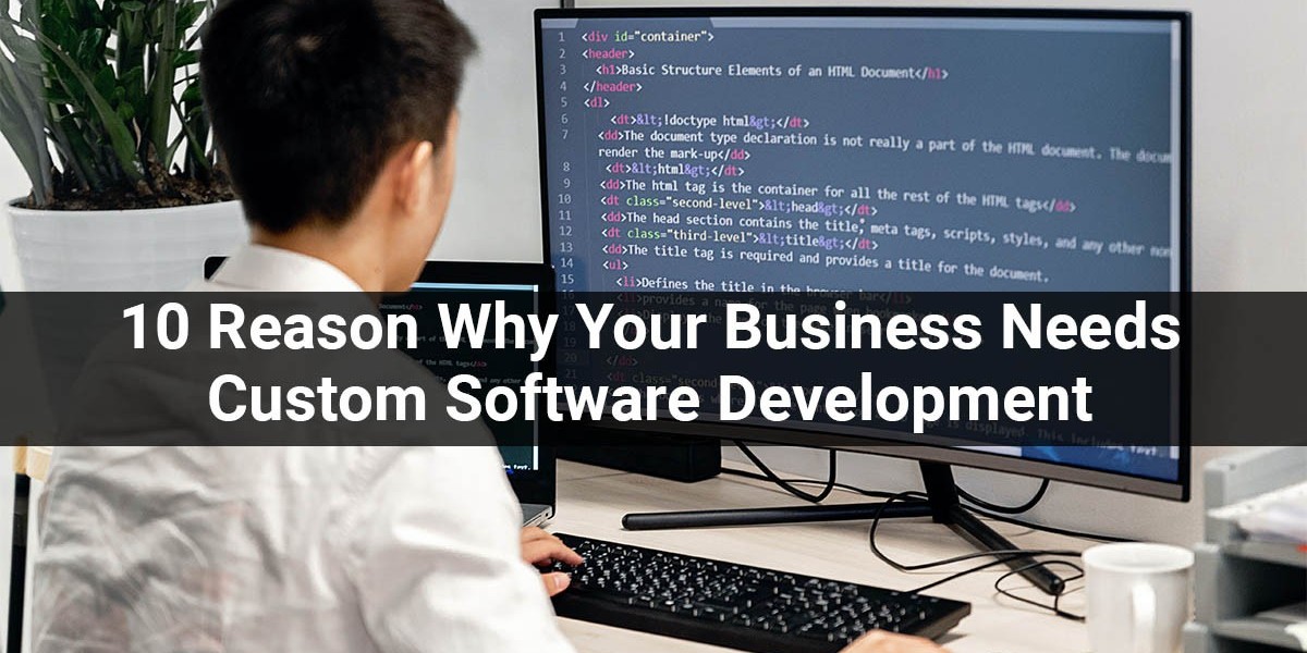 10 Reason Why Your Business Needs Custom Software Development