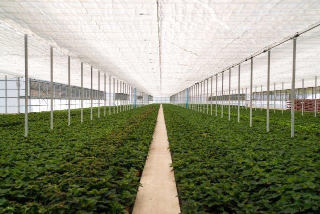 Agricultural Textiles Market