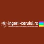 ingeriicerului Profile Picture