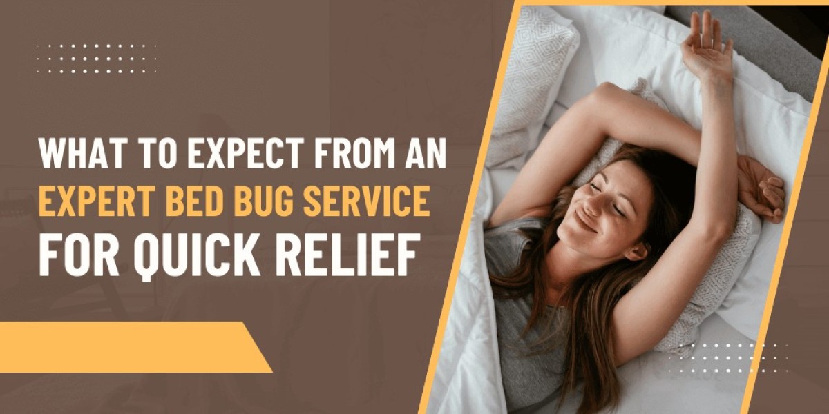 What to Expect from an Expert Bed Bug Service for Quick Relief