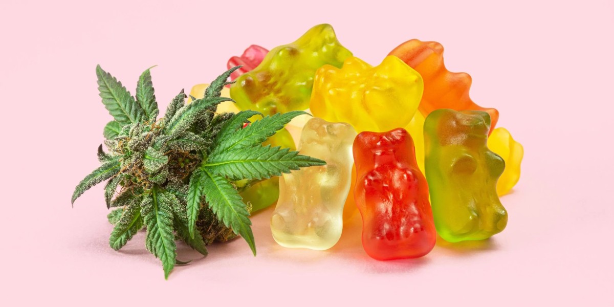 CBD Gummies Market: Future Outlook and Market Dynamics