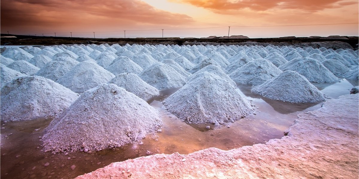 Industrial Salt Market Forecast: Predicting Changes for the Next Decade