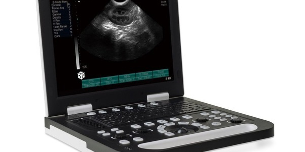 Veterinary Ultrasound Scanner Market Forecast: Market Shifts, Competitive Trends, and Opportunities in Veterinary Care