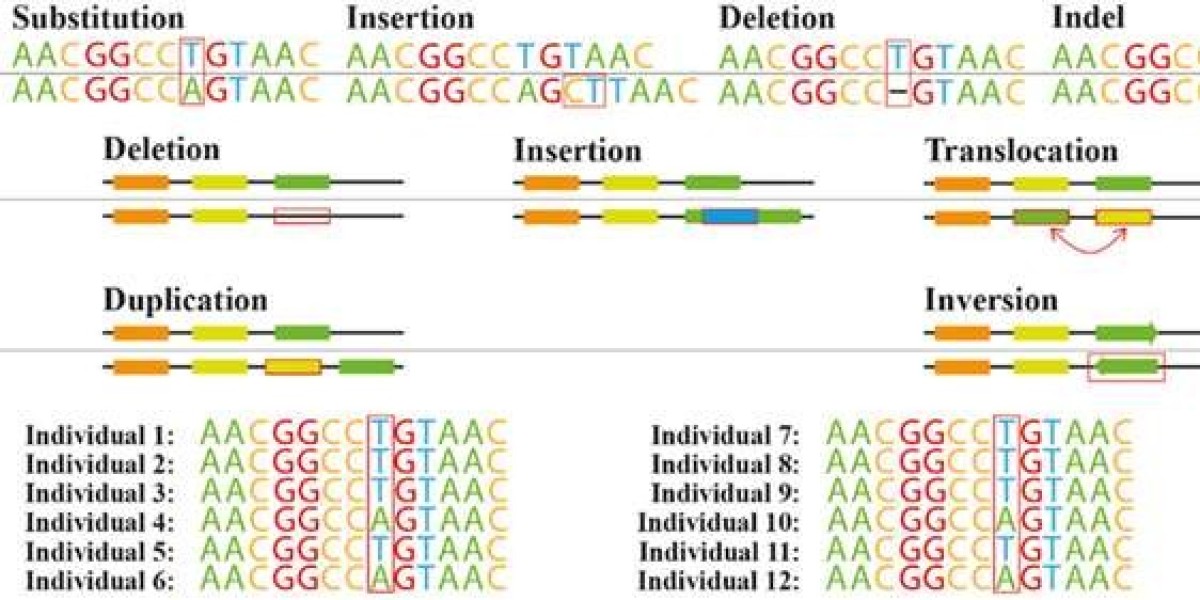 How Whole Genome Resequencing Drives Breeding Development