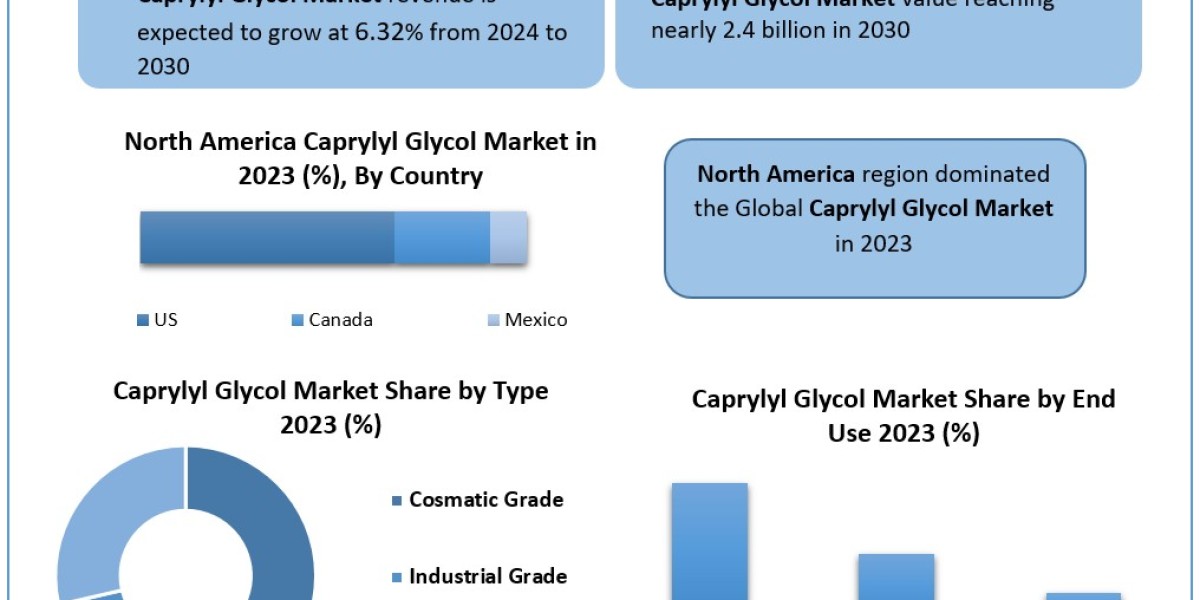 Caprylyl Glycol Market Size 2022, Share, Opportunity Assessment and Industry Expansion Strategies 2030