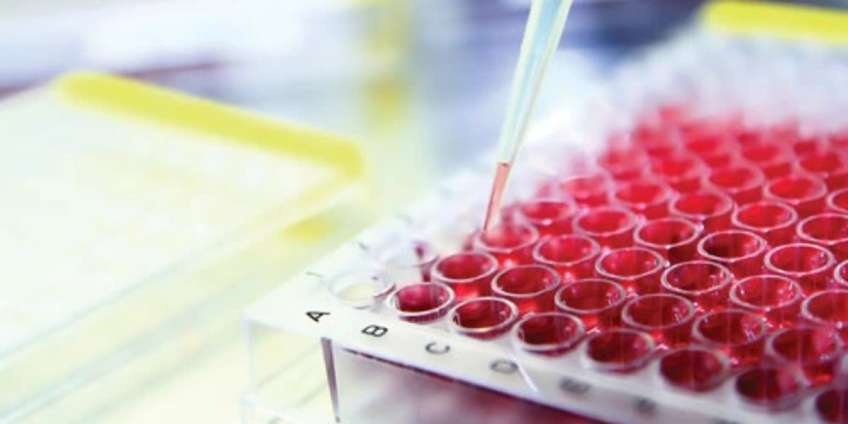 Global Cell-based Assays Market Growth, Outlook, Share, Size, Trends & Forecast | 2024 - 2032