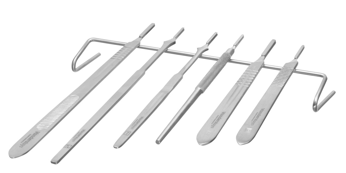 Surgical Blades Market: Precision in Healthcare, A Look at Emerging Opportunities