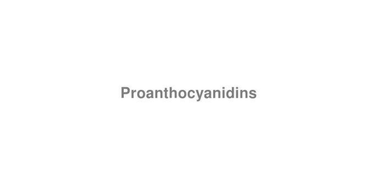 Proanthocyanidins Market 2023 - Top Key Players Analysis Report Till 2032