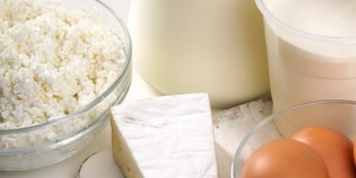 Dairy Concentrates Market: Key Trends and Long-Term Growth Prospects