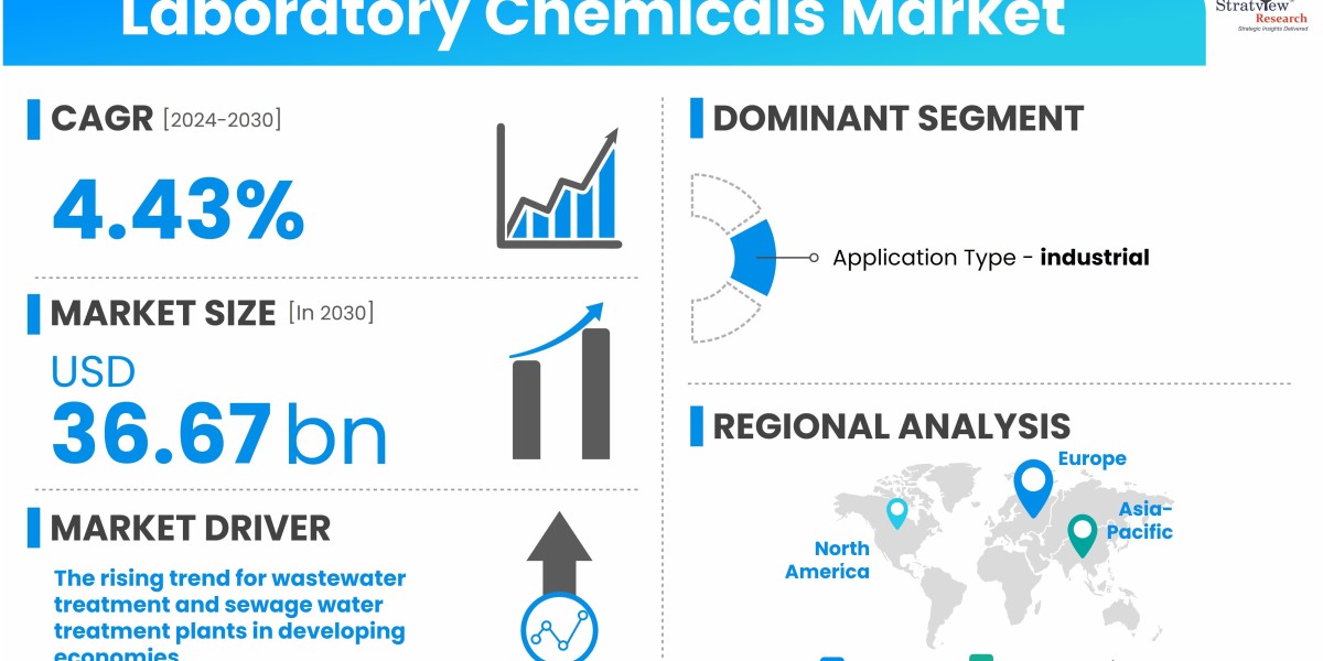 Laboratory Chemicals Market Growth: Key Trends and Projections for 2024