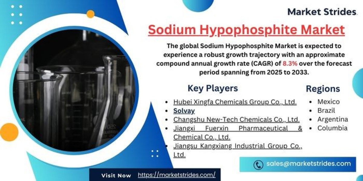 Growth Opportunities in the Sodium Hypophosphite Market: Forecast to 2033