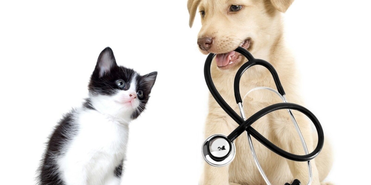 Companion Animal Drug Market: Overcoming Hindrances to Growth and Innovation