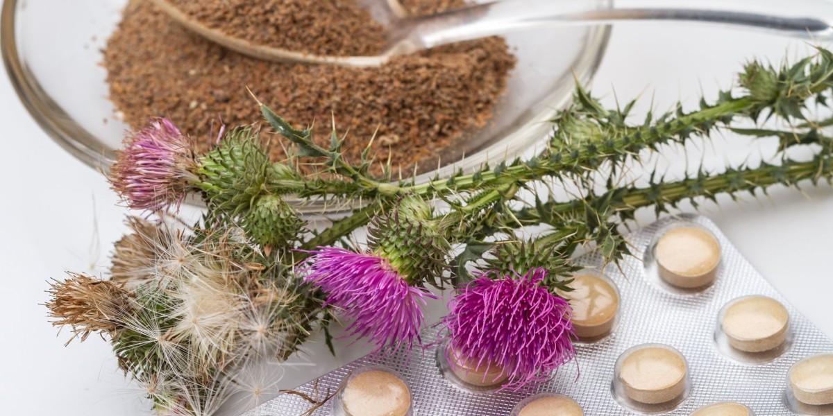 Milk Thistle Supplements Market Dynamics: Exploring the Impact of Regulatory Changes, Innovation, and Consumer Preferenc